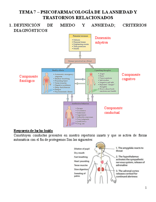 Miniatura del documento TEMA-7-PSICOFARMA.pdf
