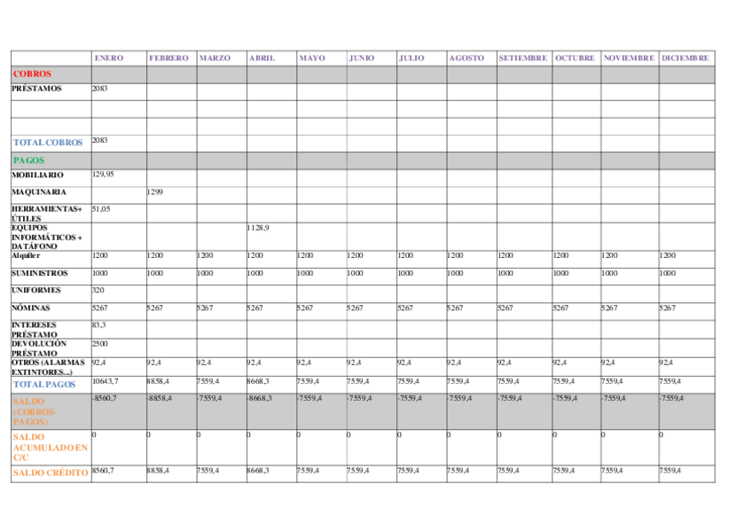 Miniatura del documento PLAN-TESORERIA.pdf
