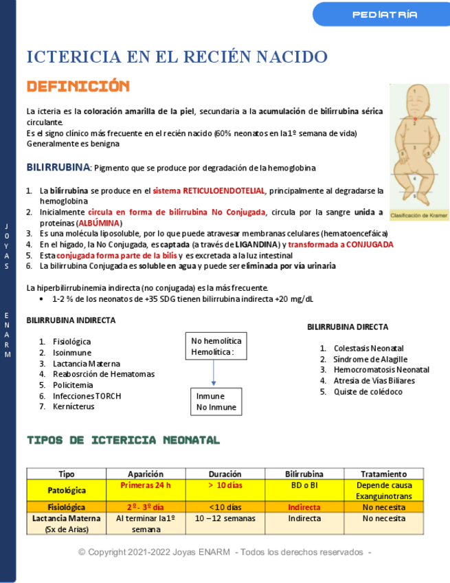 Miniatura del documento 54.-Ictericia-Neonatal.pdf