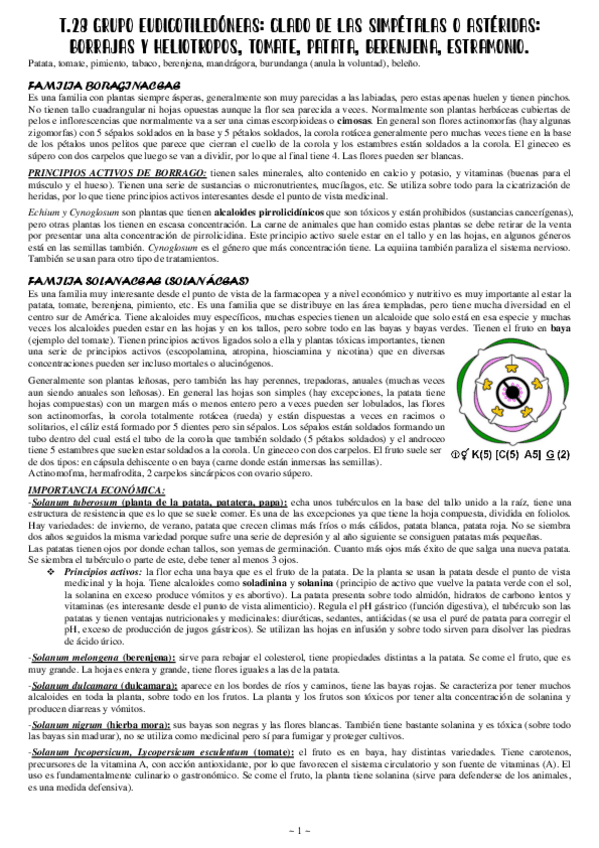 Miniatura del documento 28-Eucotiledoneas.pdf