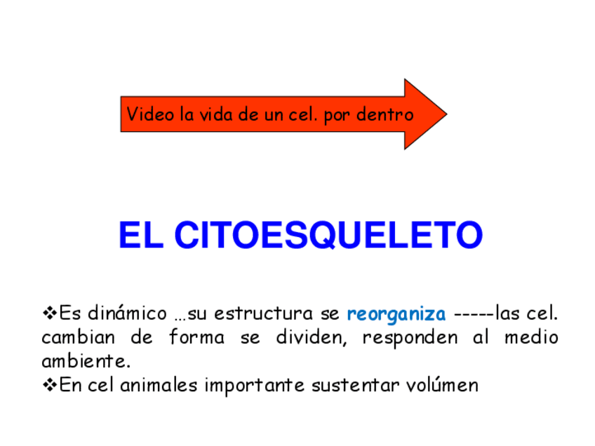 Miniatura del documento Tema-4BC.pdf