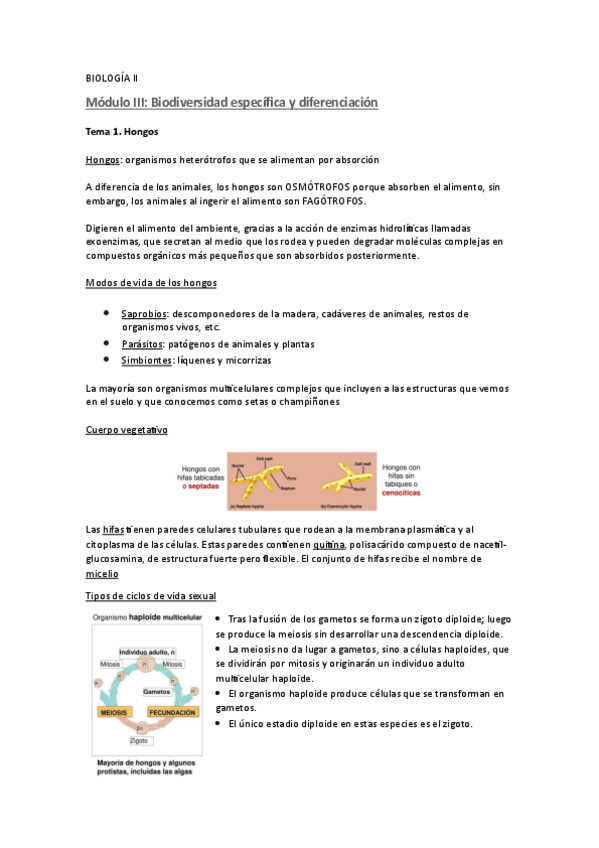 Miniatura del documento BIOLOGIA-SEGUNDO-CUATRI-APUNTES.pdf