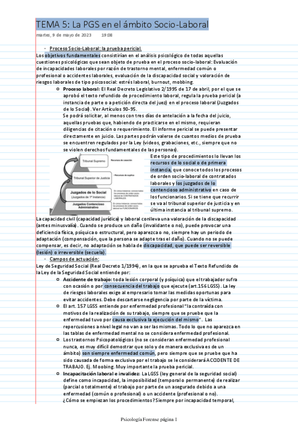 Miniatura del documento TEMA-5-La-PGS-en-el-ambito-Socio-Laboral.pdf