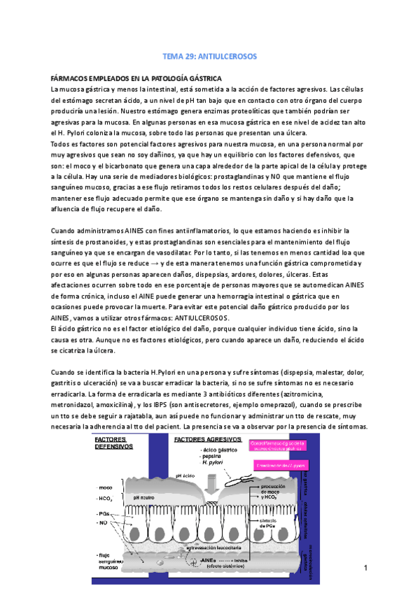Miniatura del documento FARMA-T.29-33.pdf