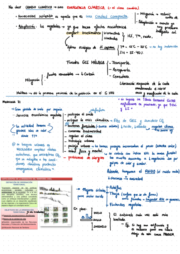 Miniatura del documento Plani-Apuntes-Clases.pdf