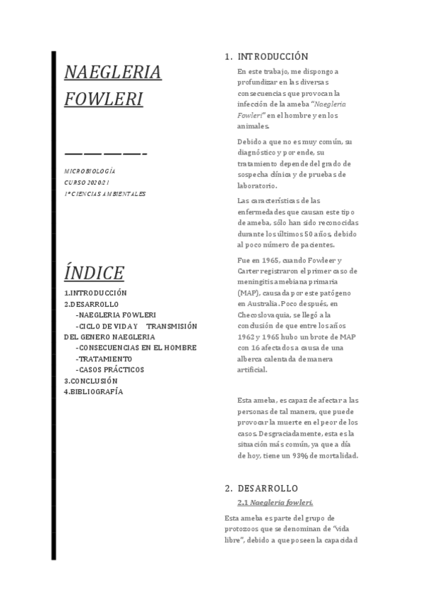 Miniatura del documento Trabajo-voluntario.pdf