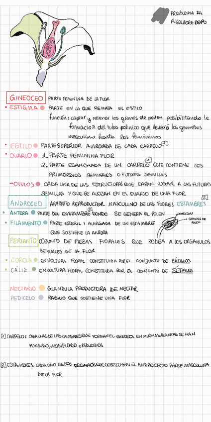 Miniatura del documento Apuntes-Examen-EPD-Apuntes-de-Giulia.pdf