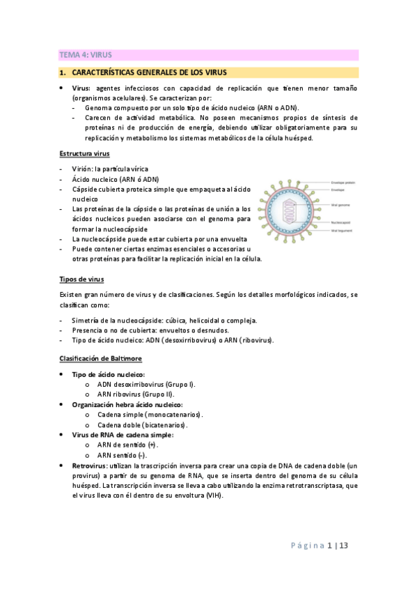 Miniatura del documento TEMA-4-MICRO.pdf