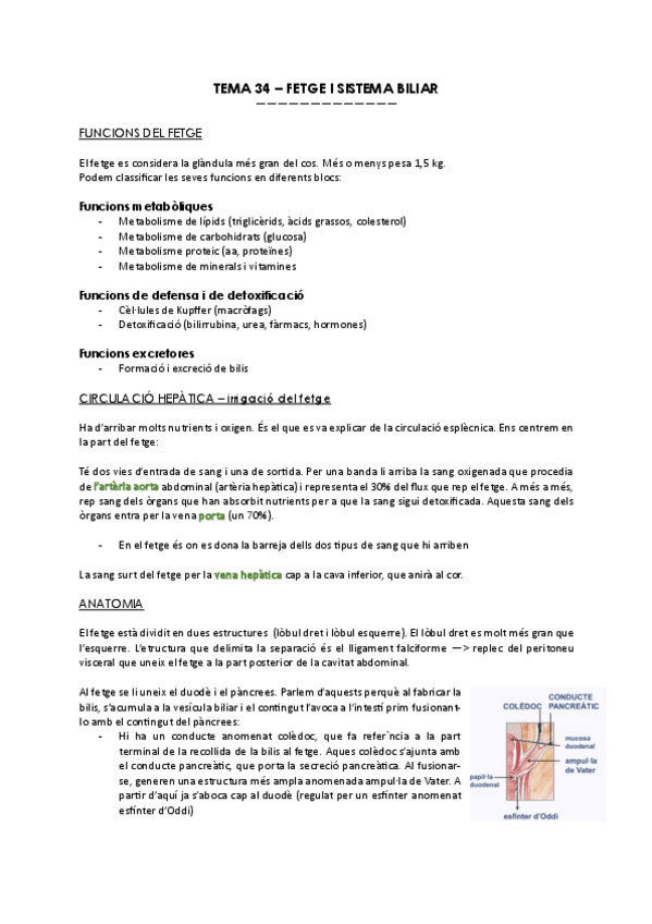 Miniatura del documento TEMA-34-FETGE-I-SISTEMA-BILIAR.pdf