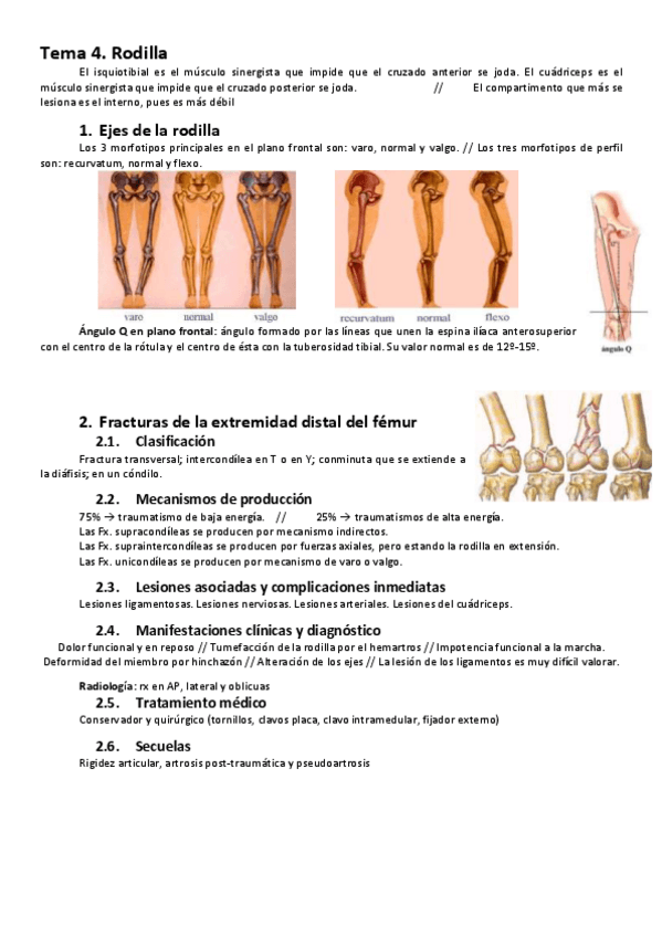 Miniatura del documento T4.-FAL-II.pdf