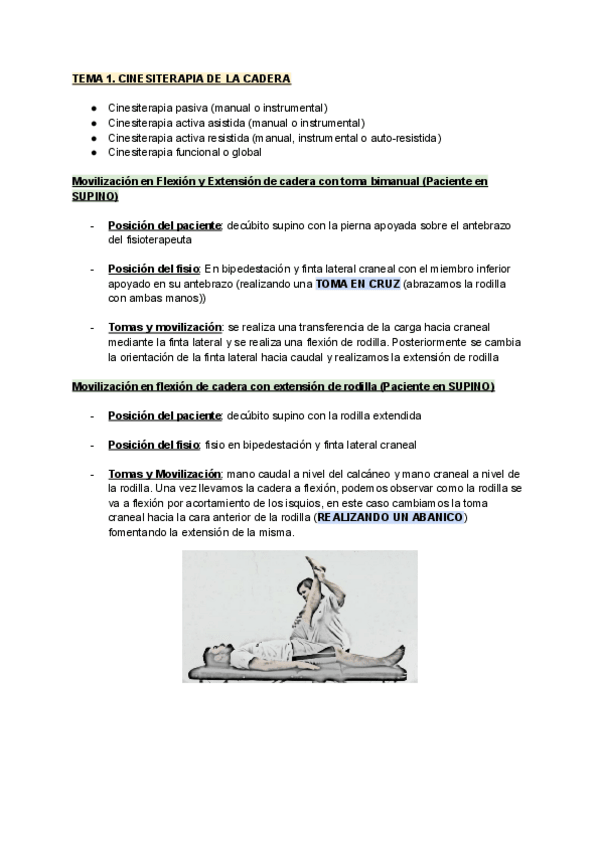 Miniatura del documento CINESITERAPIA-PRACTICA.pdf