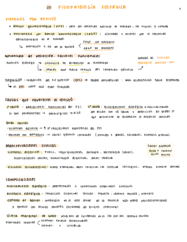 Miniatura del documento UD4 (aparato Digestivo) T20-30.pdf