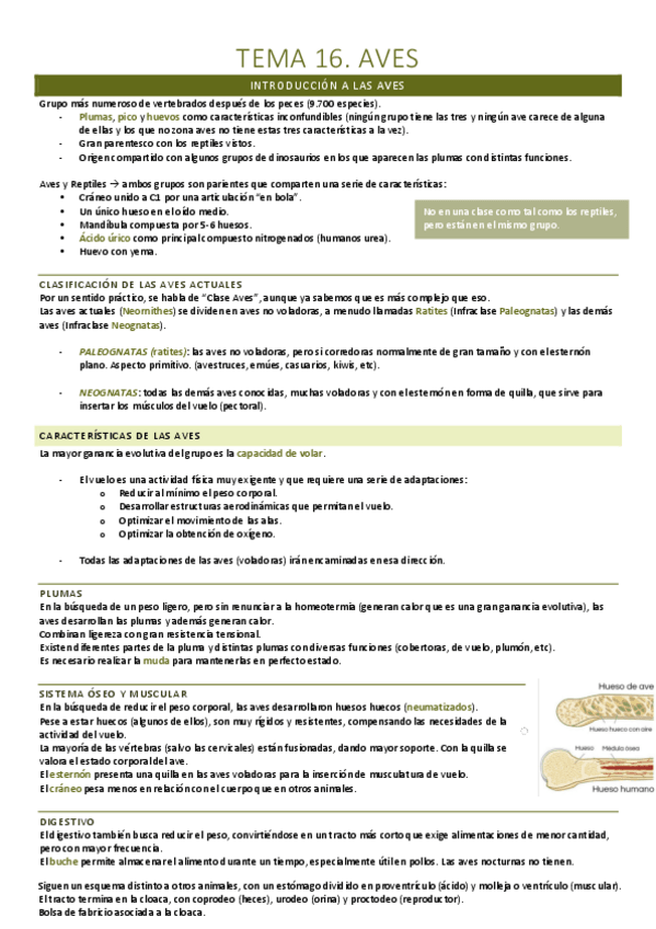 Miniatura del documento T.16.-Aves.pdf