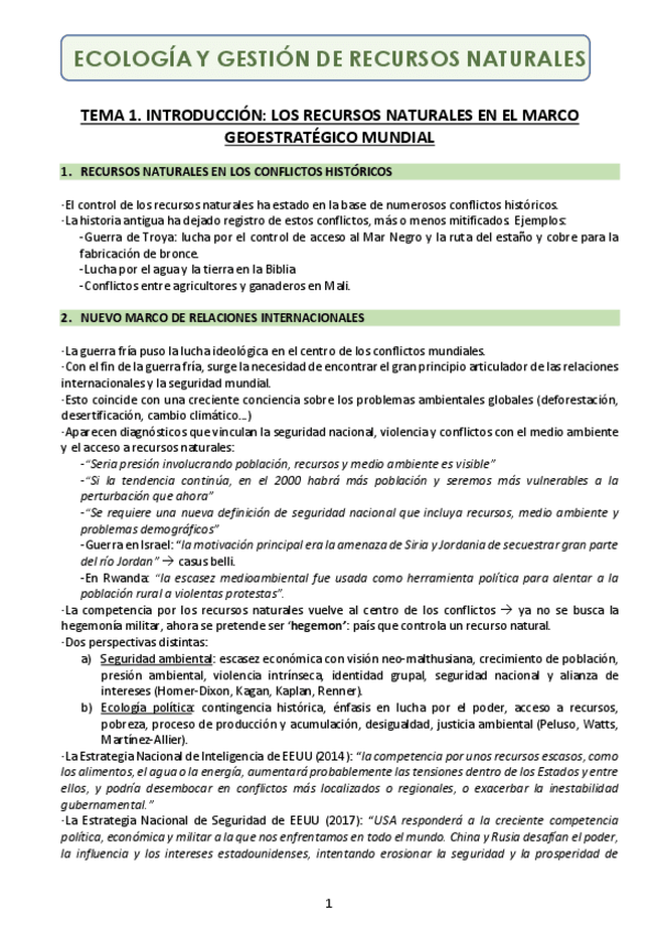 Miniatura del documento Apuntes-ERN.pdf