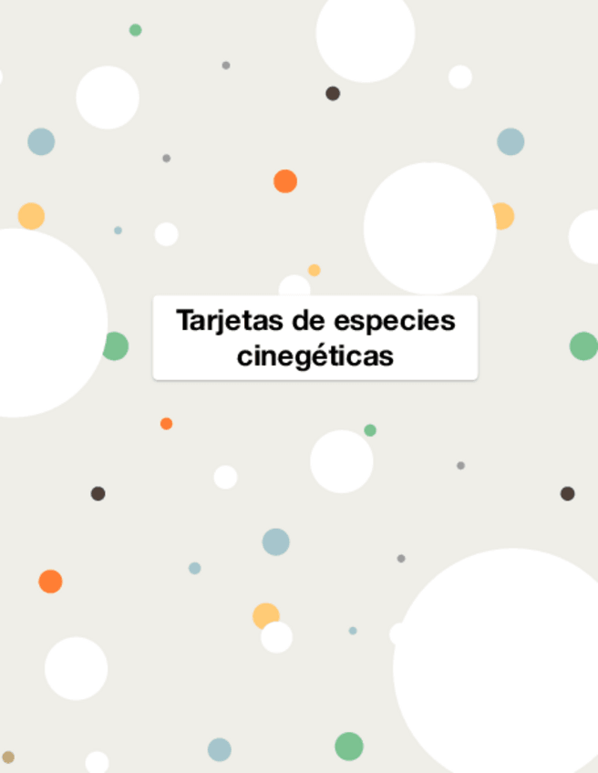 Miniatura del documento Tarjetas didácticas reconocimiento  Especies-cinegeticas-comprimido.pdf