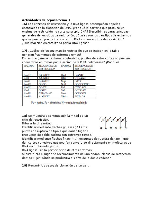 Miniatura del documento Actividades de repaso tema 3.docx