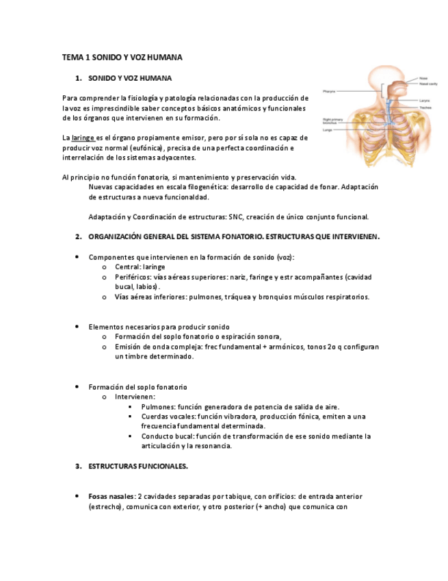 Miniatura del documento TEMA-1-bLOQUE-3.pdf