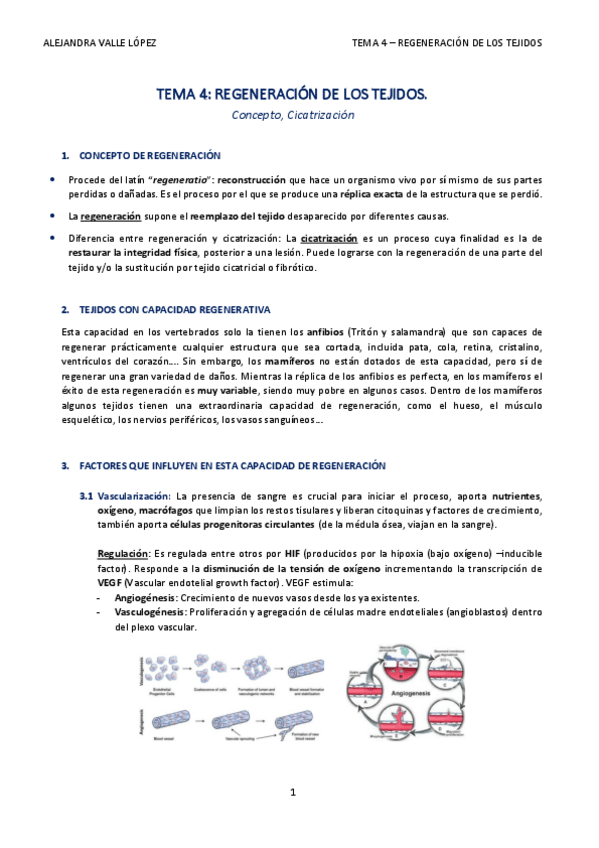 Miniatura del documento TEMA-4-AVL.pdf
