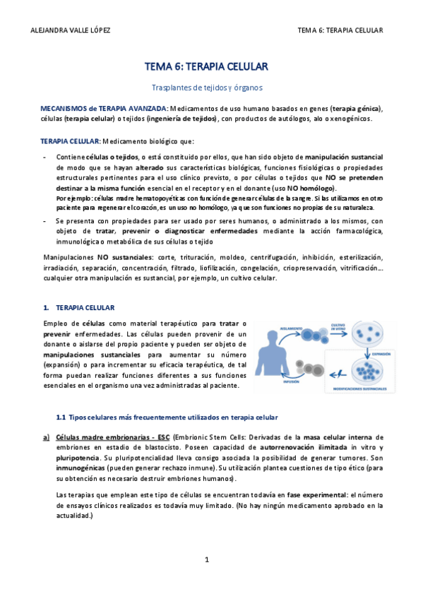 Miniatura del documento TEMA-6-AVL.pdf