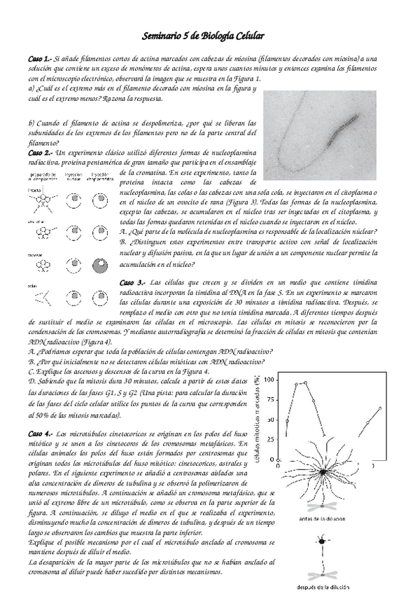 Miniatura del documento Seminario 5 de Biología Celular.docx