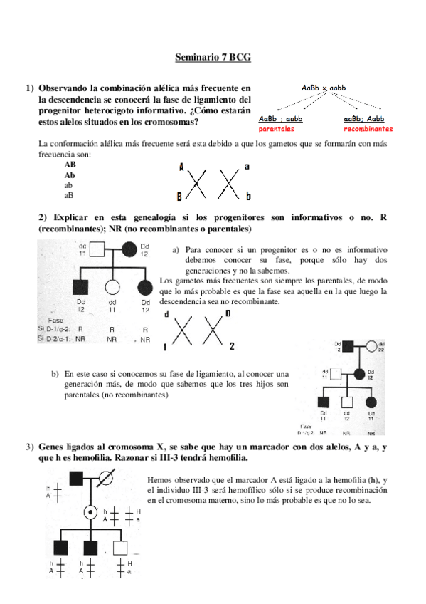 Miniatura del documento Seminario 7 BCG.docx