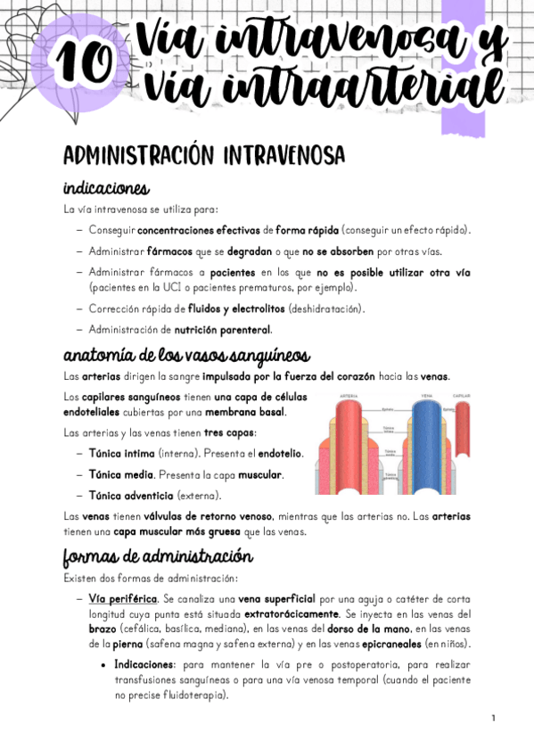 Miniatura del documento Tema-10.-Via-intravenosa-e-intraarterial.pdf