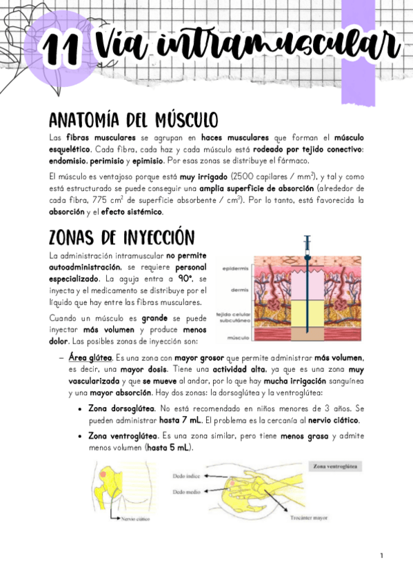 Miniatura del documento Tema-11.-Via-intramuscular.pdf