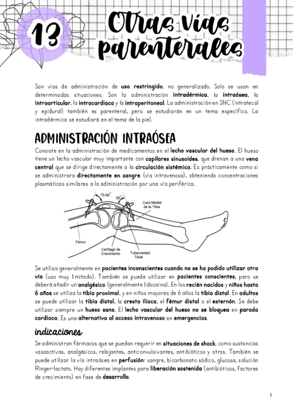 Miniatura del documento Tema-13.-Otras-vias-de-administracion-parenteral.pdf