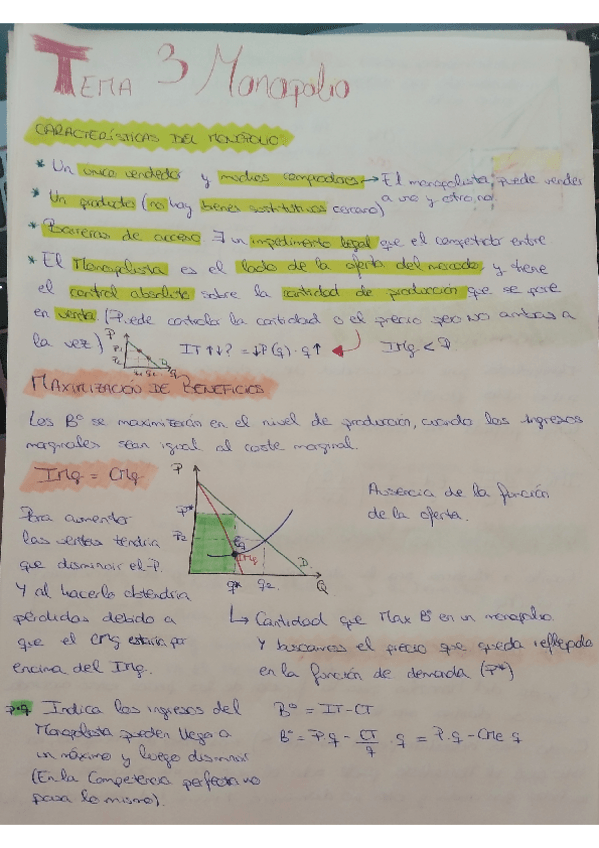 Miniatura del documento TEMA-3.pdf