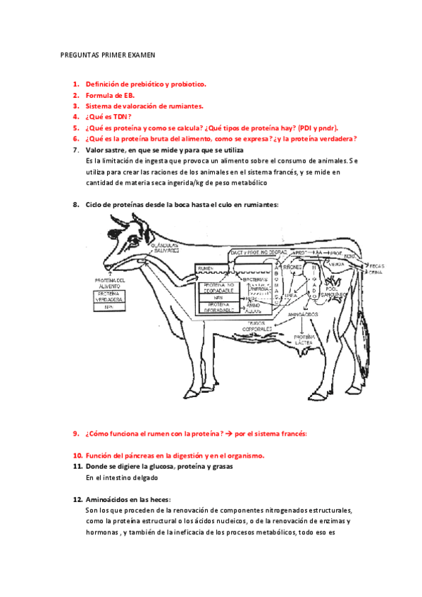 Miniatura del documento preguntas-nutricion-examen-2.pdf