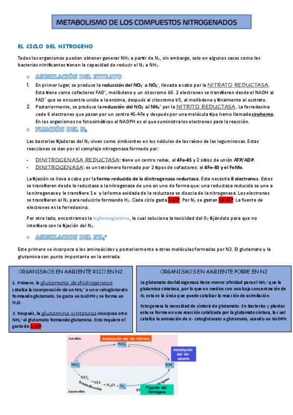 Miniatura del documento TEMA-9.pdf
