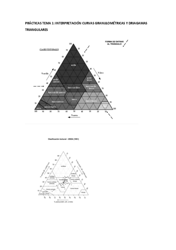 Miniatura del documento PRACTICAS-TEMA-1-SEDIMENTOLOGIA.pdf