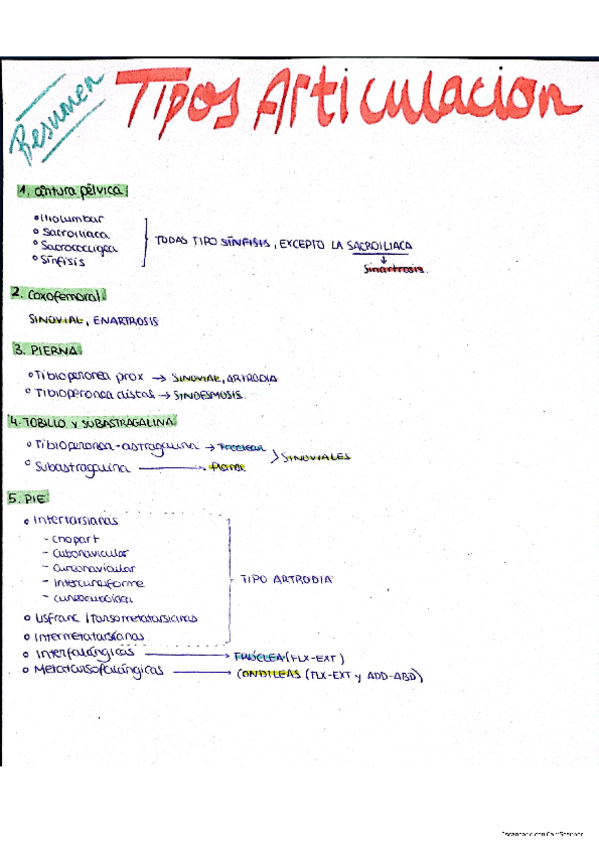 Miniatura del documento Resumen-articulaciones-MMII.pdf