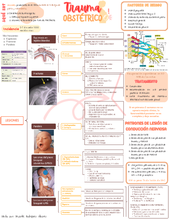 Miniatura del documento TraumaObstetricoRodriguezAlvarezDeyarlet.pdf