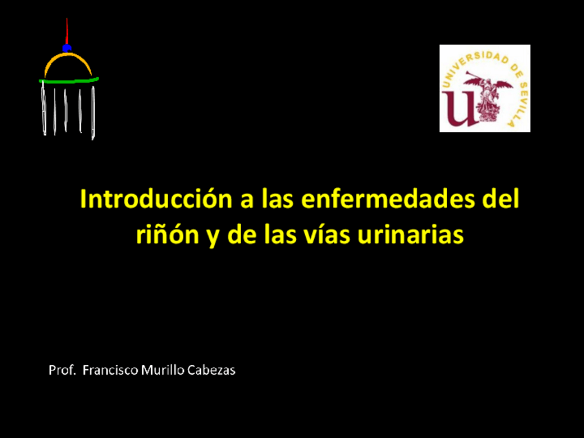 Miniatura del documento 23 - Introduccion a las enfermedadesdel riñon y vias urinarios.pdf