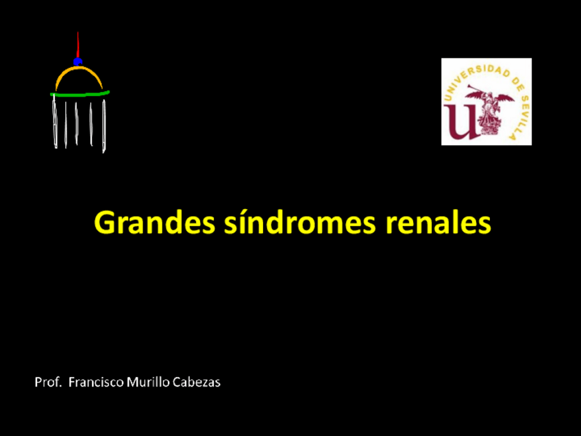 Miniatura del documento 24 - Grandes Síndromes renales.pdf