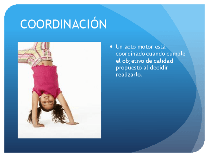 Miniatura del documento 32 - SEMIO de SENSIBILIDAD SUPERFI Y PROFUN. Coordinacion mtora- el equilibrio y la marcha.pdf