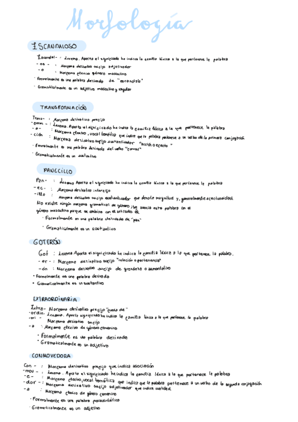 Miniatura del documento MORFOLOGIA.pdf
