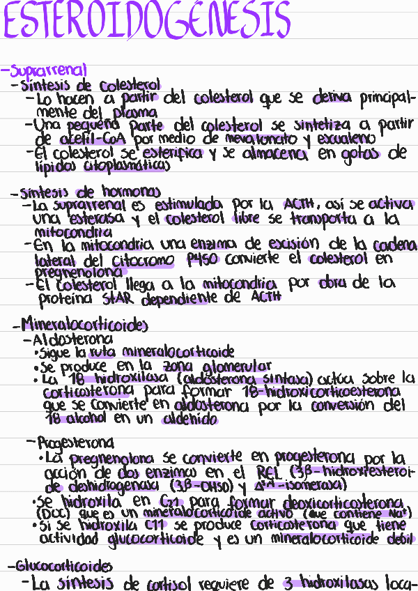 Miniatura del documento Esteroidogenesis.pdf