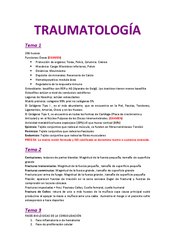 Miniatura del documento Resumen-Trauma.pdf