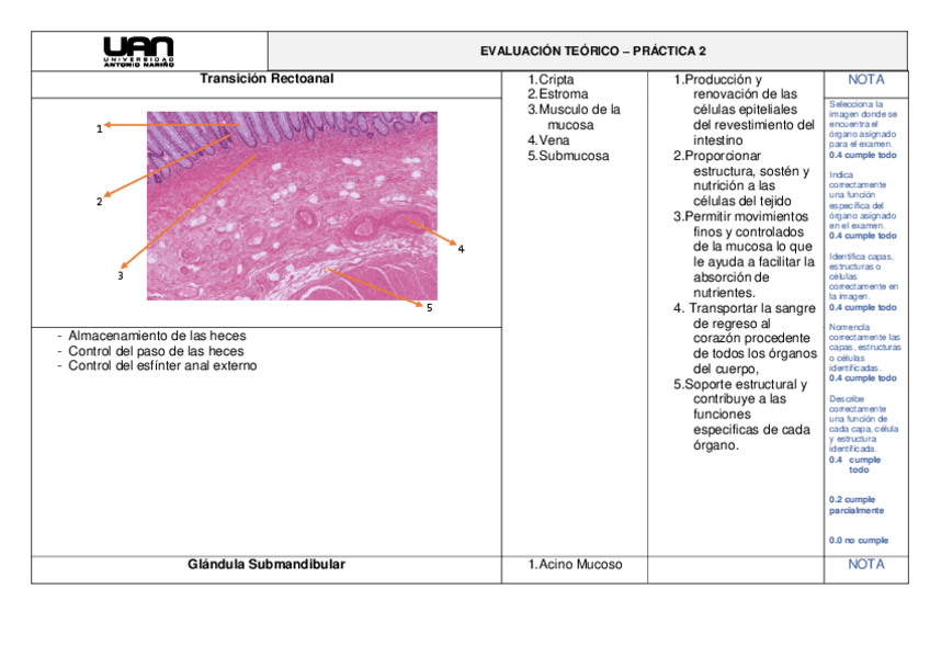 Miniatura del documento 105022178072.pdf