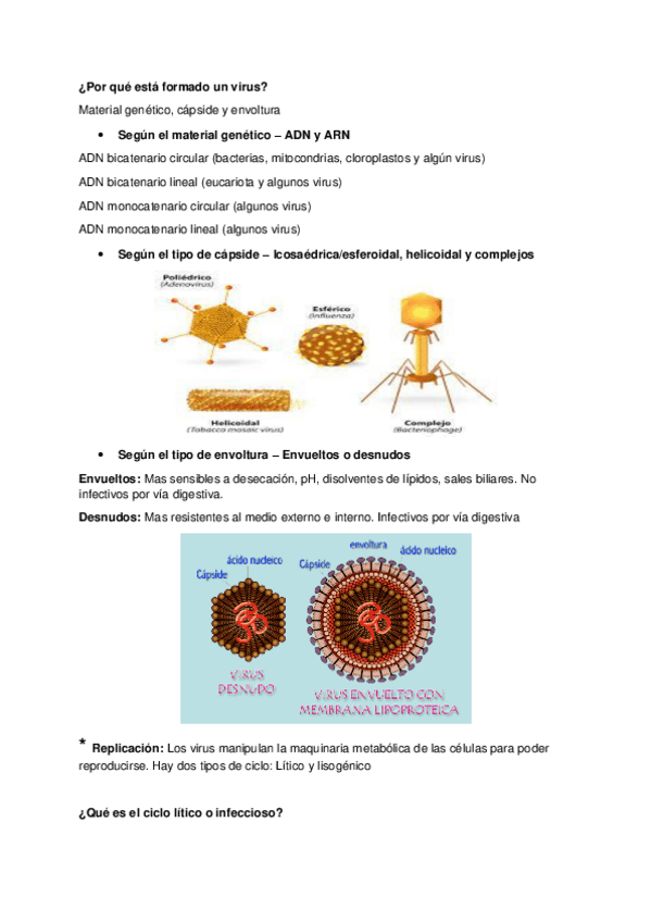 Miniatura del documento Tema-9-Virus.pdf