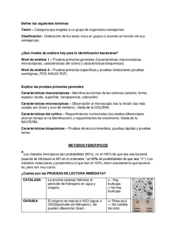 Miniatura del documento Tema-4-Pruebas-bioquimicas.pdf
