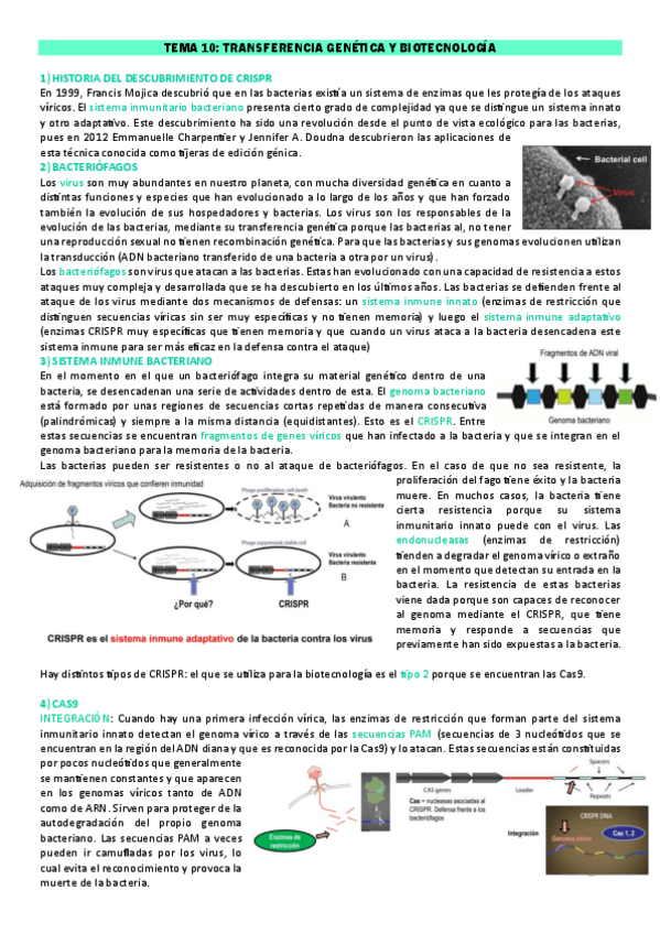 Miniatura del documento TEMA-10-FEM.pdf