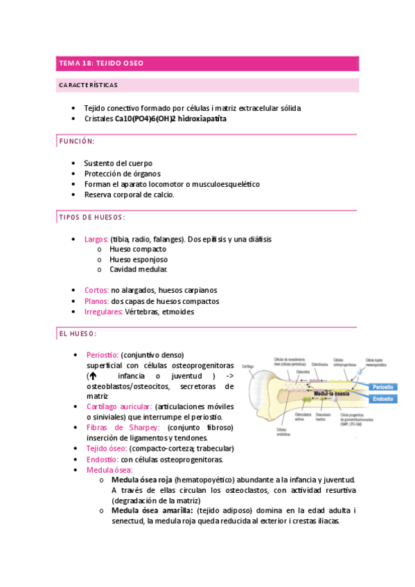 Miniatura del documento Tema-18-Castellano.pdf