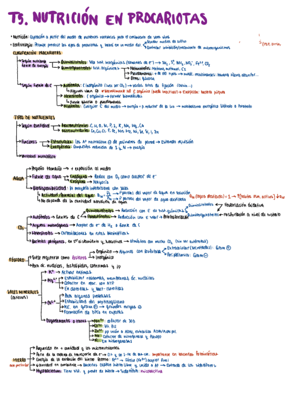 Miniatura del documento Resumen-tema-5.pdf