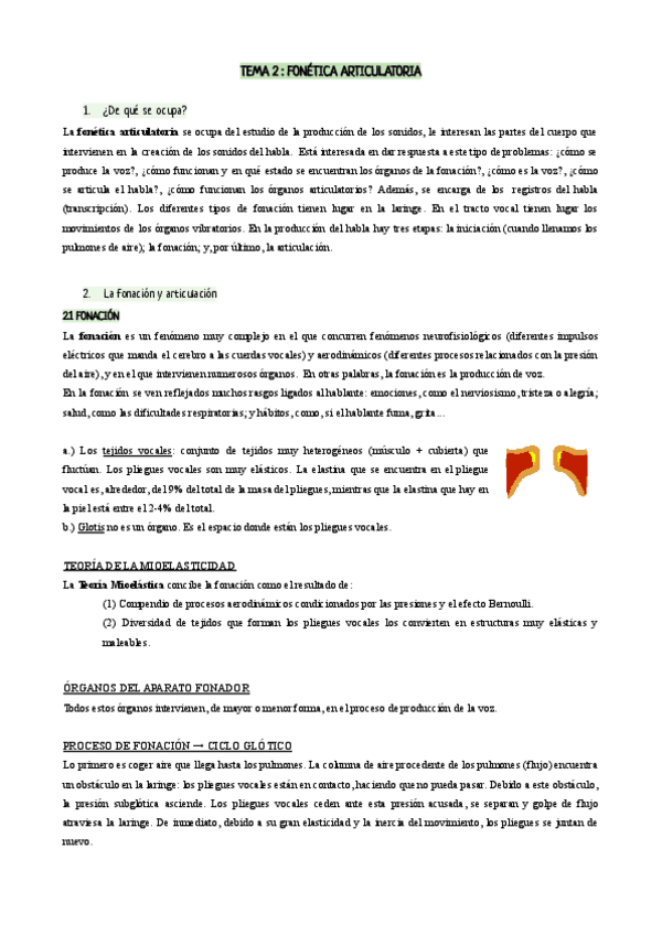 Miniatura del documento TEMA-2--FONETICA-ARTICULATORIA-2.pdf