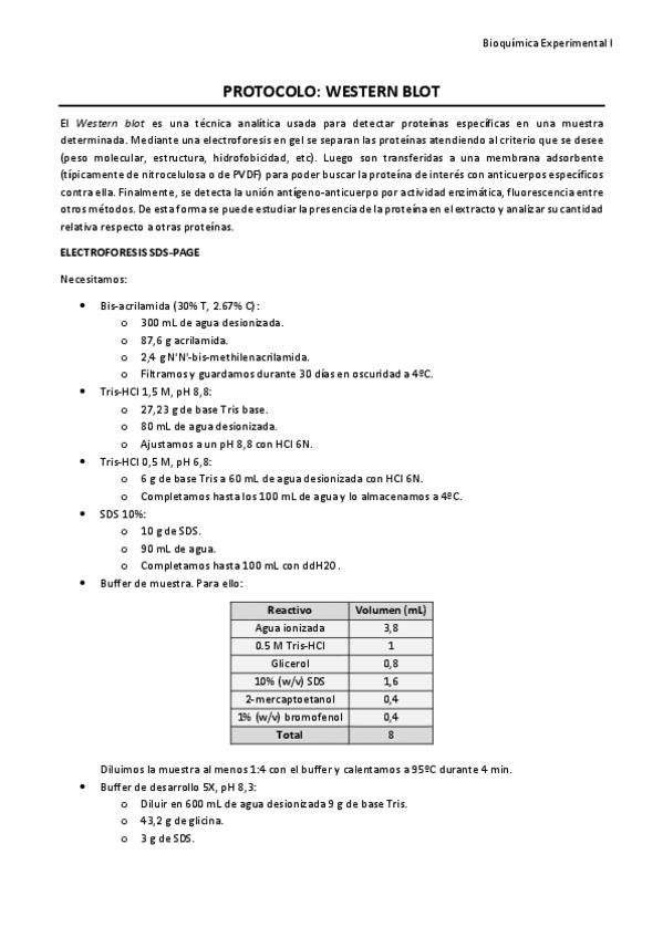 Miniatura del documento Protocolo - Western blot.pdf