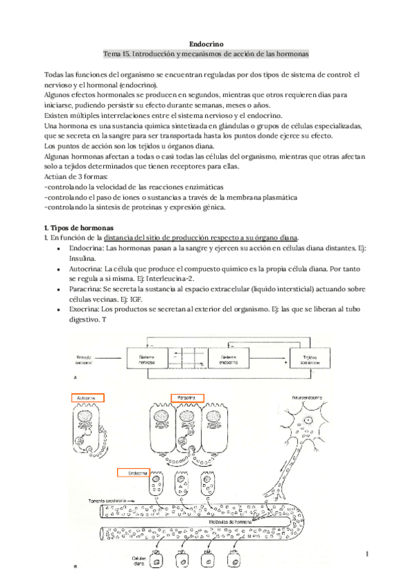 Miniatura del documento Endocrino.-Tema-15..pdf