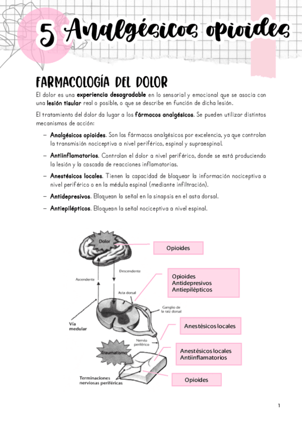 Miniatura del documento Tema-5.-Farmacos-opioides.pdf